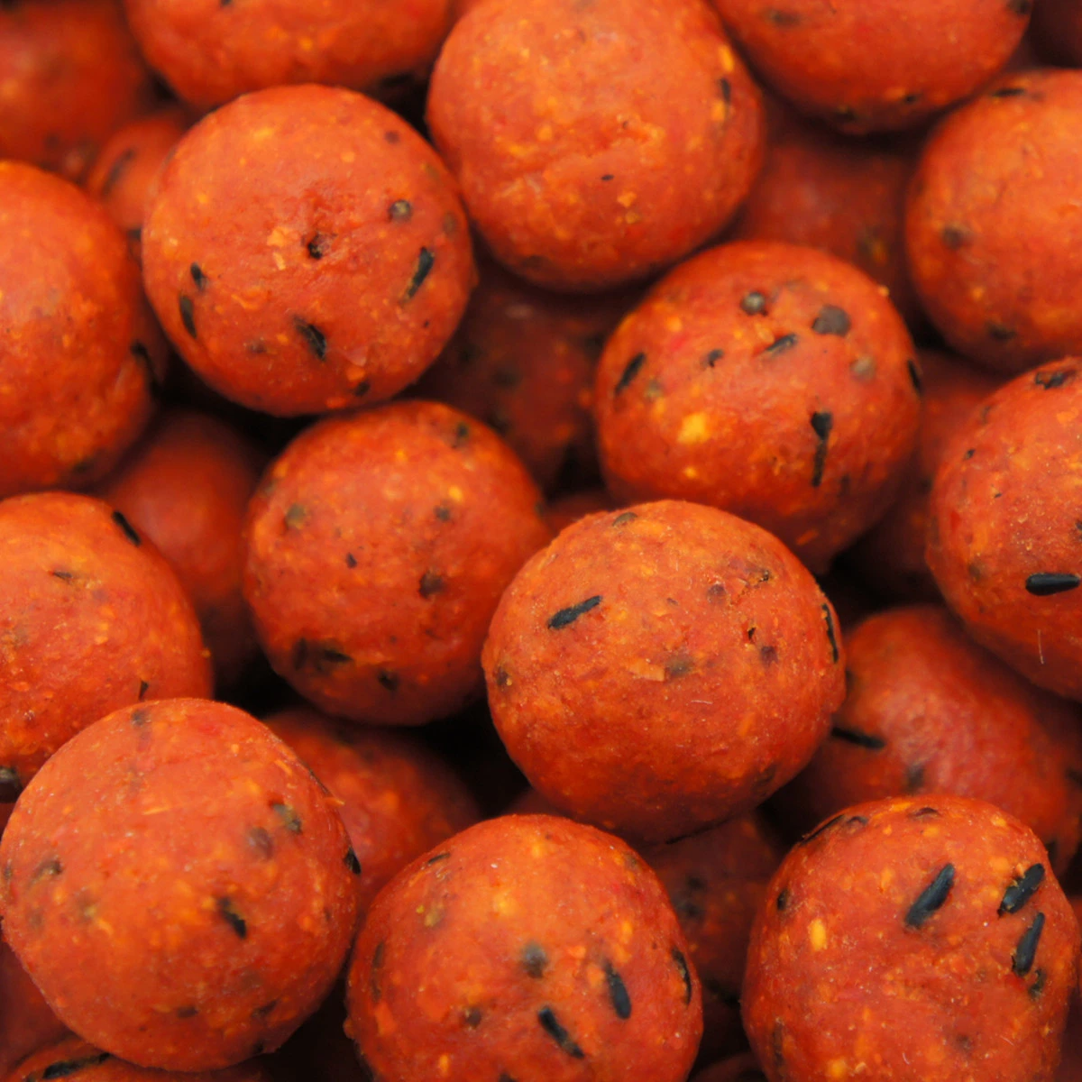 Martin SB Boilies 1 Kg 20 Mm Roasted Nut 2 Martin SB Boilies 1 Kg 20 Mm Roasted Nut - Afbeelding 2