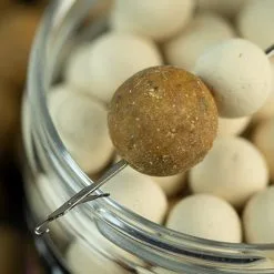 Sticky Baits Manilla White Ones Pop-Ups 7 Sticky Baits Manilla White Ones Pop-Ups -Goedkope Aas winkel 589e430aa6024b77be20a183913b33d5