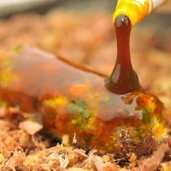 Korda Goo Pineapple Supreme Bait Smoke 6 Korda Goo Pineapple Supreme Bait Smoke -Goedkope Aas winkel 933d4f8f676249e081569cc5e418ceb1