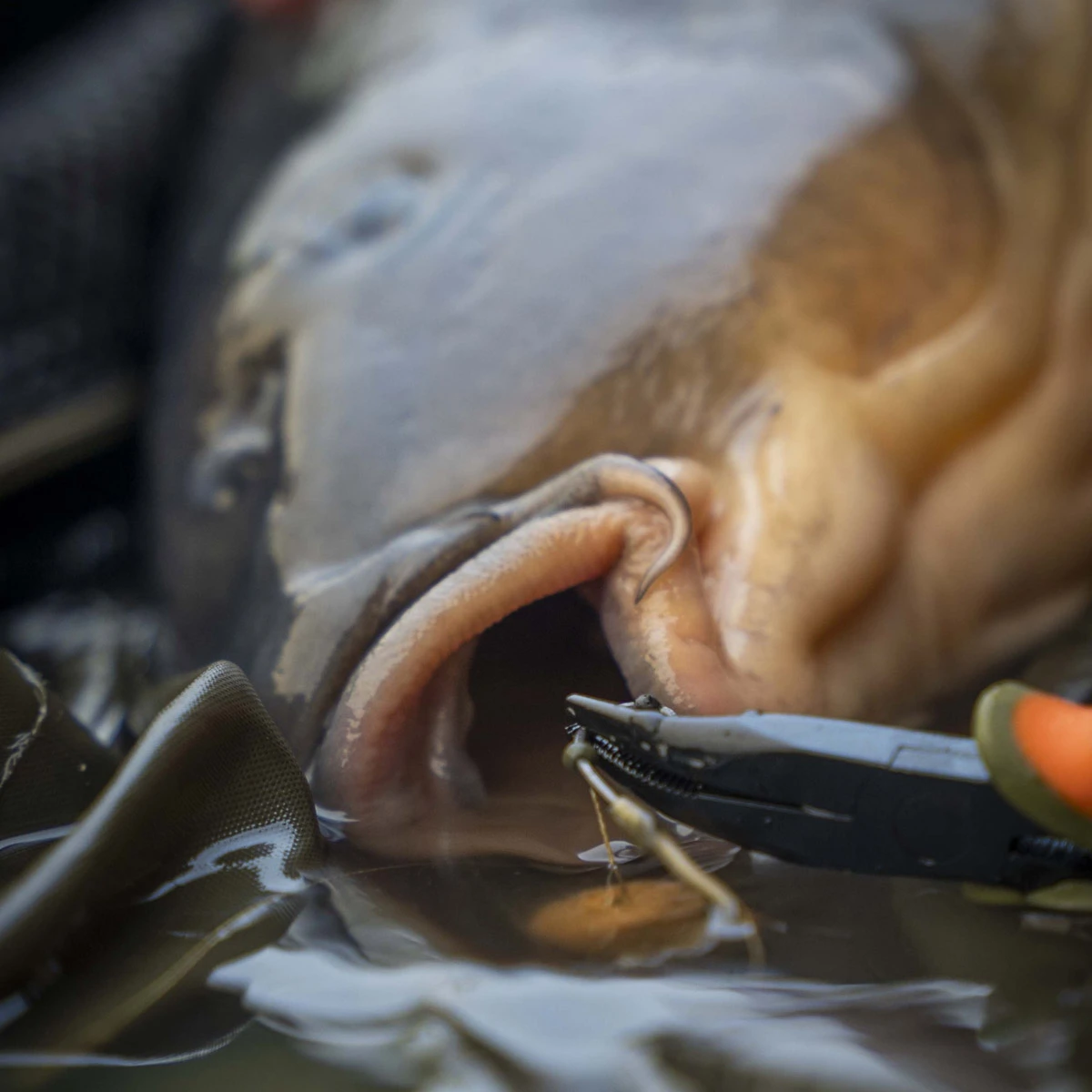 Pb Products Puller & Unhooking Pliers 13CM 3 Pb Products Puller & Unhooking Pliers 13CM - Afbeelding 3