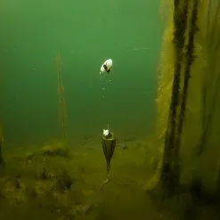 Fox Edges Zig Float Kit -Goedkope Aas winkel f07e634c637543d488b63651235fed32